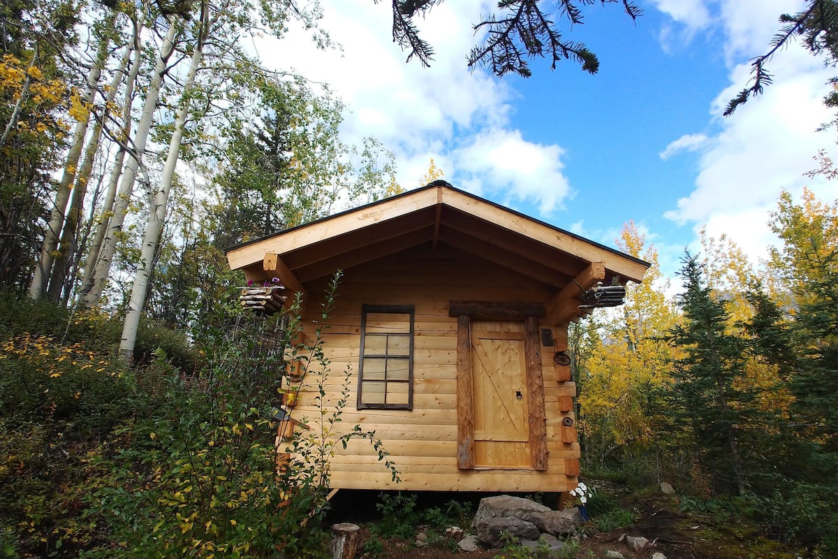 Une cabane en bois au design simple, entourée d’une forêt dense et d’arbres imposants.
