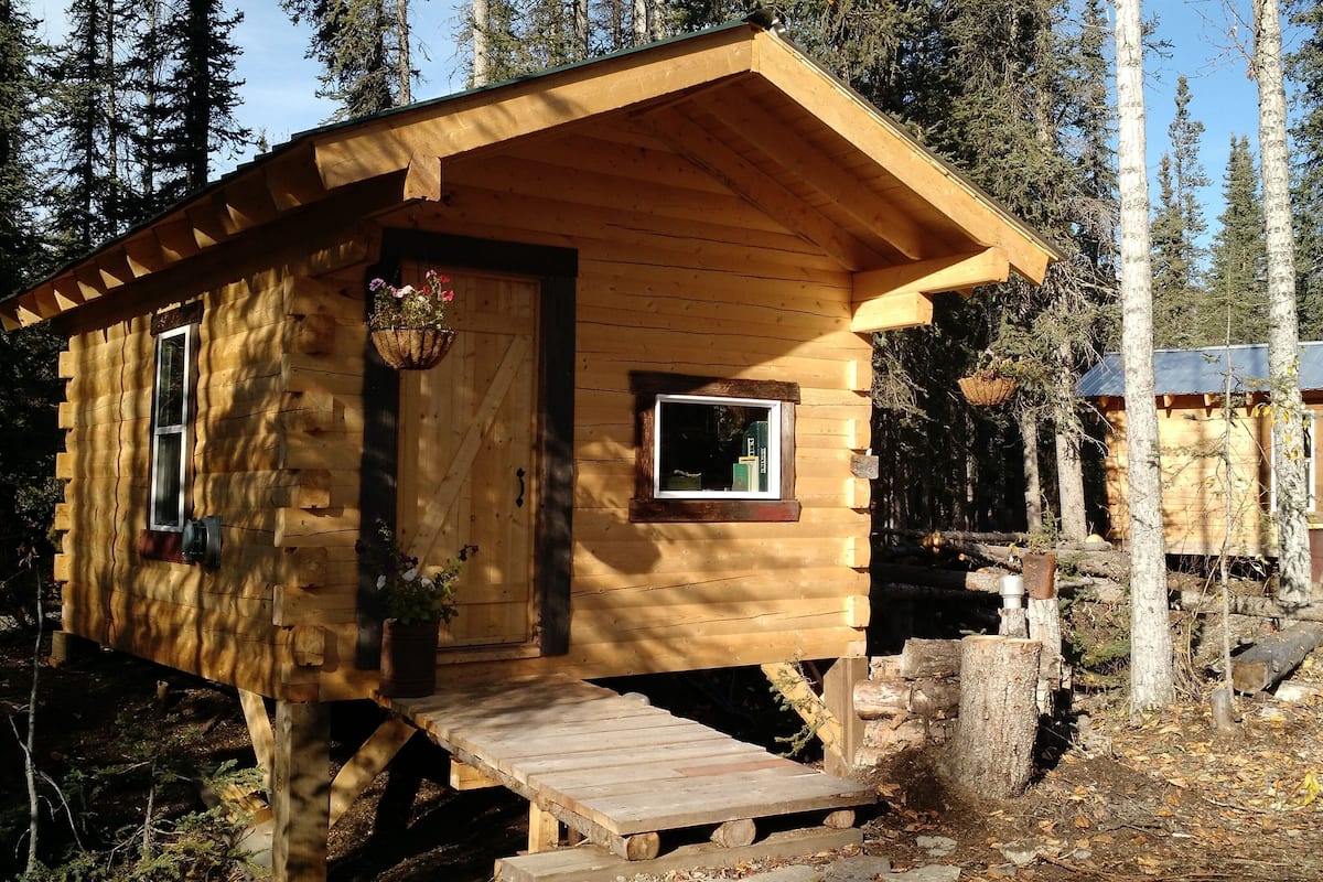 Une cabane en bois avec une petite fenêtre et une porte, entourée d’arbres.