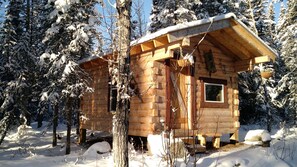 Dora Keen Cabin w Shared Outhouse | Busa memori dan didekorasi berbeda-beda