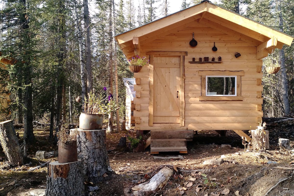 Une cabane en bois avec une seule porte, une petite fenêtre et une étagère sur laquelle sont posés divers objets.