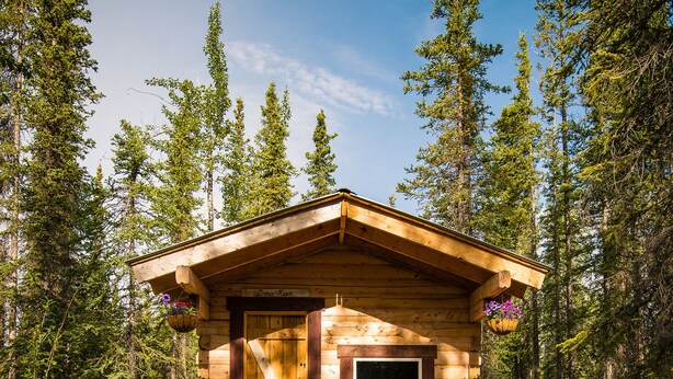 Un piccolo chalet in legno con un portico, immerso in una foresta.