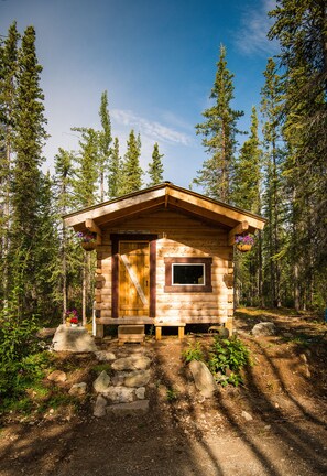 A small wooden cabin with a front porch, surrounded by a forest. - Blackburn Cabins (McCarthy)