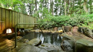 A hot spring area with a wooden fence, a metal ladder, and a stone basin. - Fudoson-no-Yu Oyado Kotobuki (Yamanouchi)