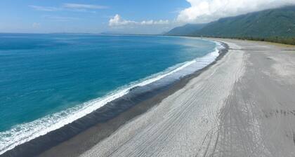 Flower and Green Collection