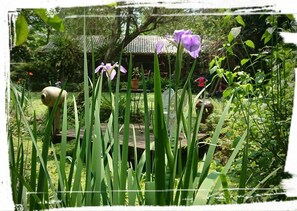Property grounds - Flower and Green Collection (Xincheng)