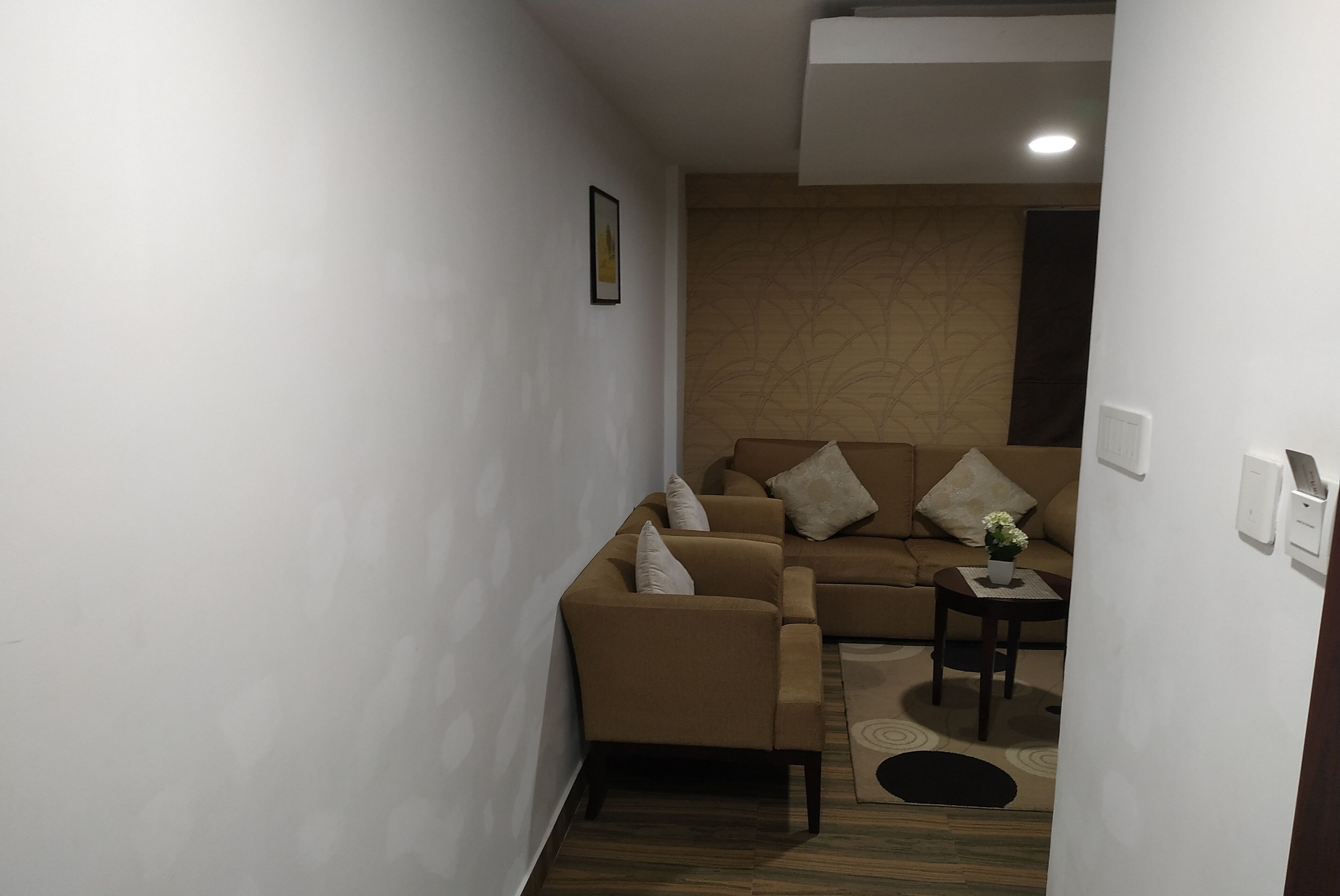 A modern living room with a sofa, armchairs, and a small table with a plant.