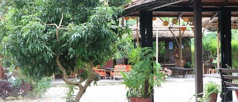 Un espace extérieur aménagé avec des tables et des chaises, protégé par un auvent, et agrémenté de plantes en pot et d’un arbre.