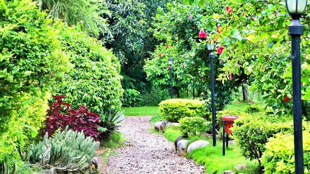 A garden pathway with various plants and a lamp post. - Lake Twenty Thousand Farm and Retreat (Bharatpur)