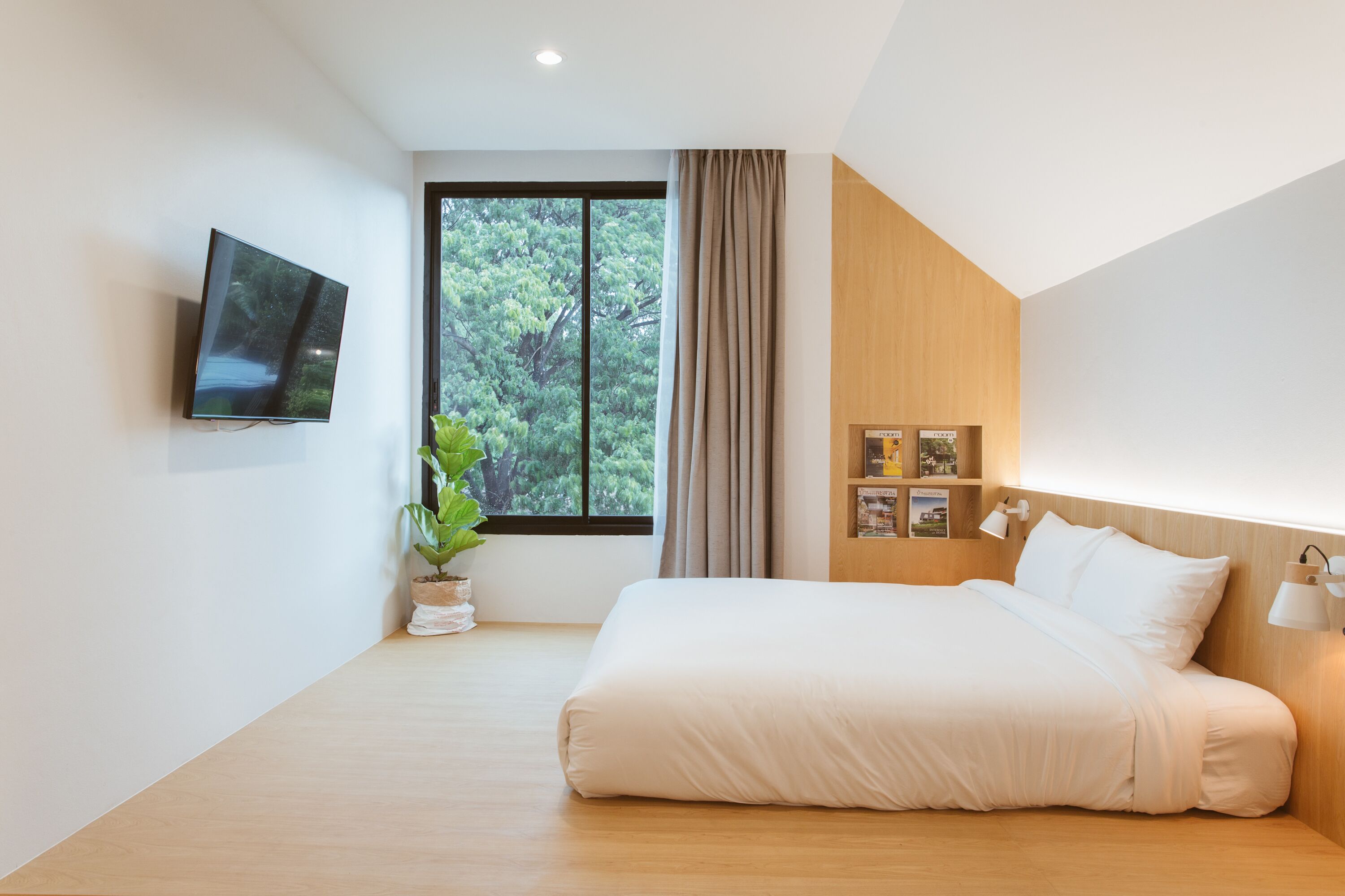 Un dormitorio moderno con una cama grande, un televisor de pantalla plana en la pared, un ventanal con vistas a árboles y una mesita de noche con una planta.