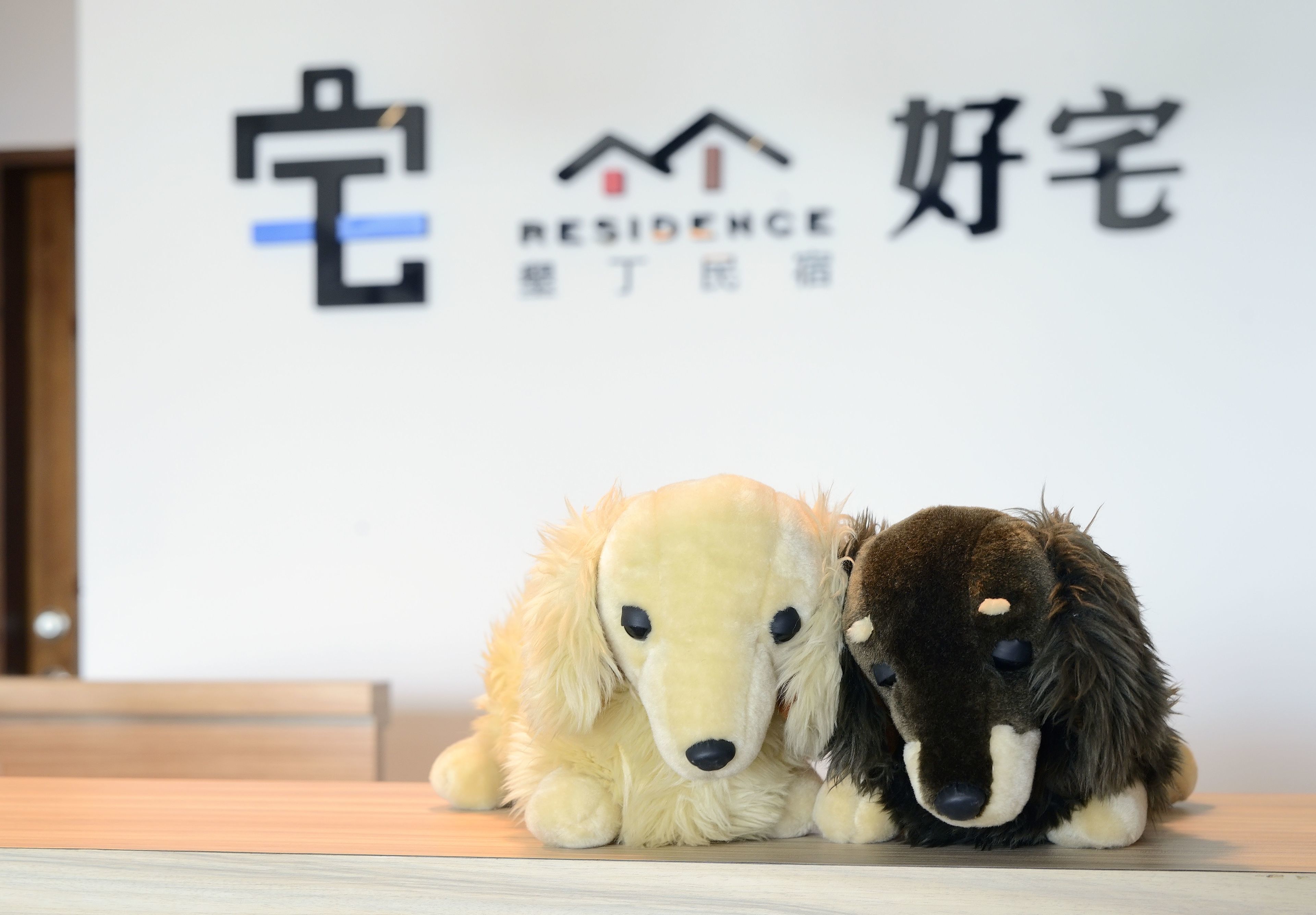 墾丁好宅民宿評價、特色體驗、房價資訊、訂房連結 – 親子友善與溫馨服務 - 照片 8