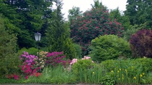 A garden with various flowering plants and a street lamp. - Hotel Meyer (Hildesheim)