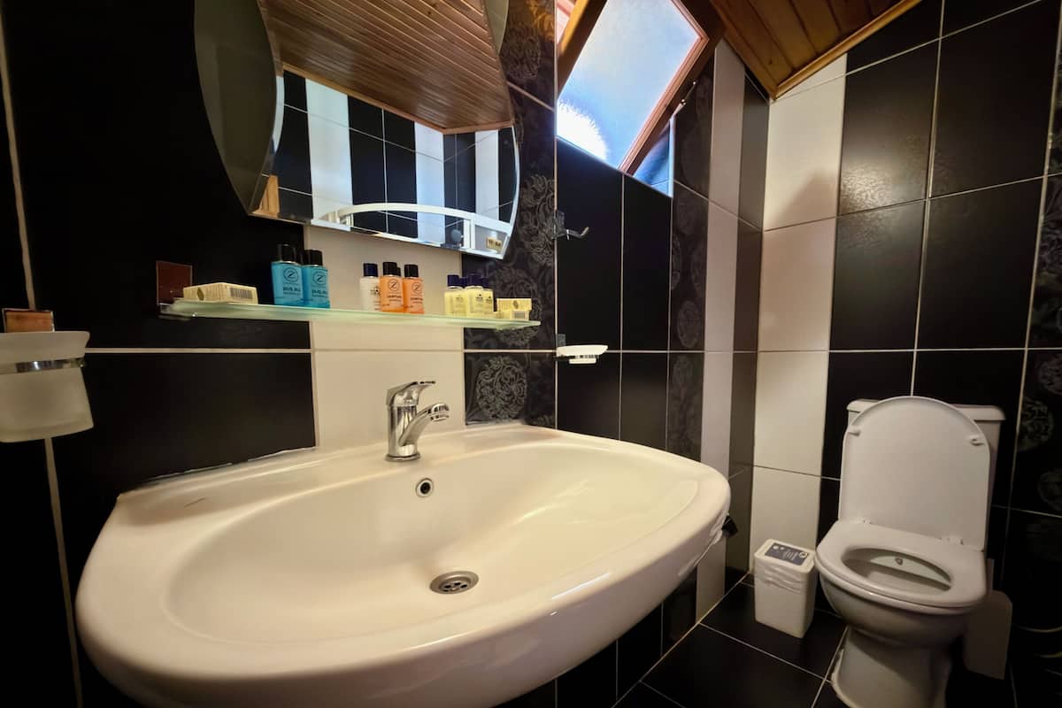 Standard Triple Room | Bathroom | Shower, hair dryer, slippers, towels