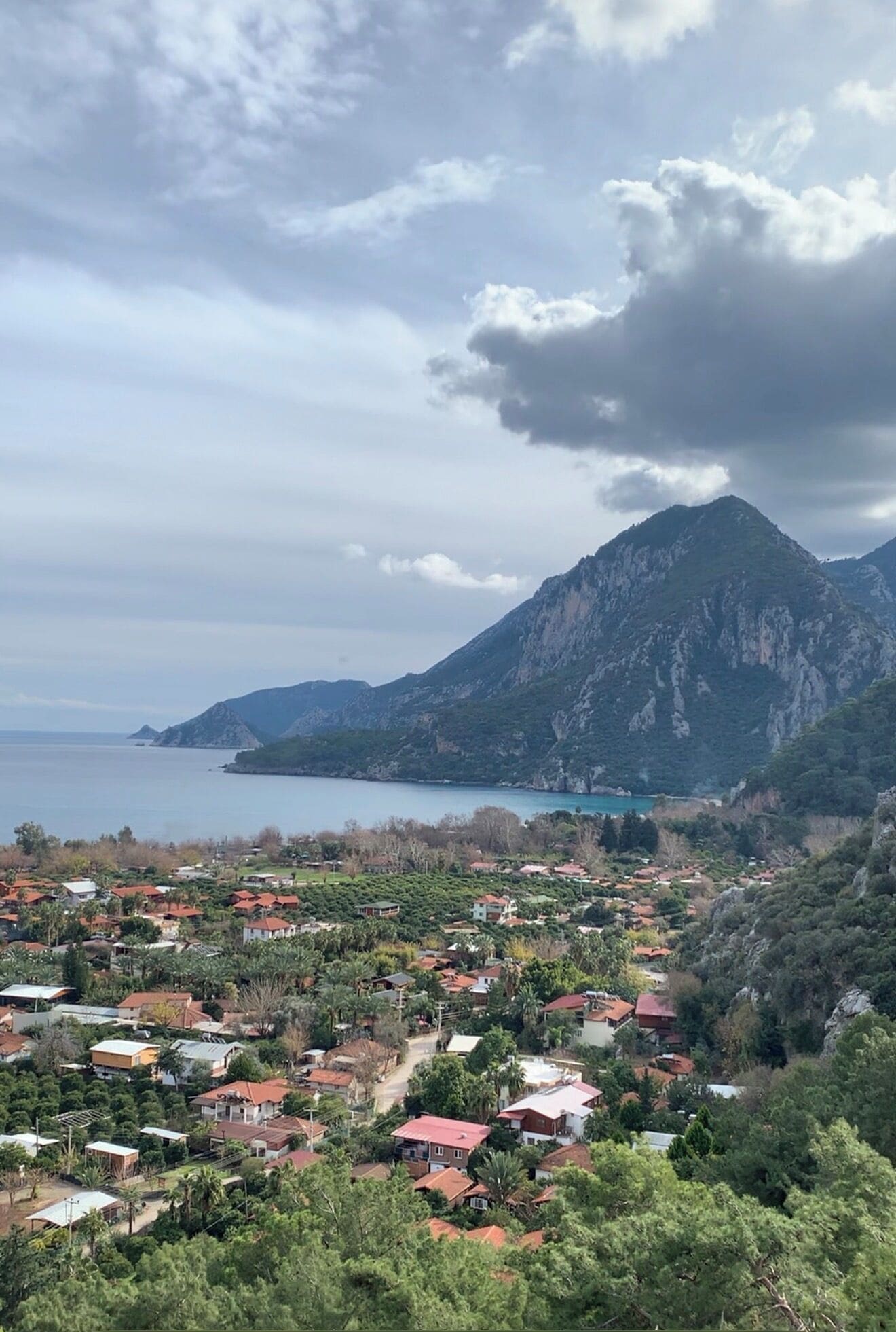 A coastal town with houses, a mountain, and a body of water.