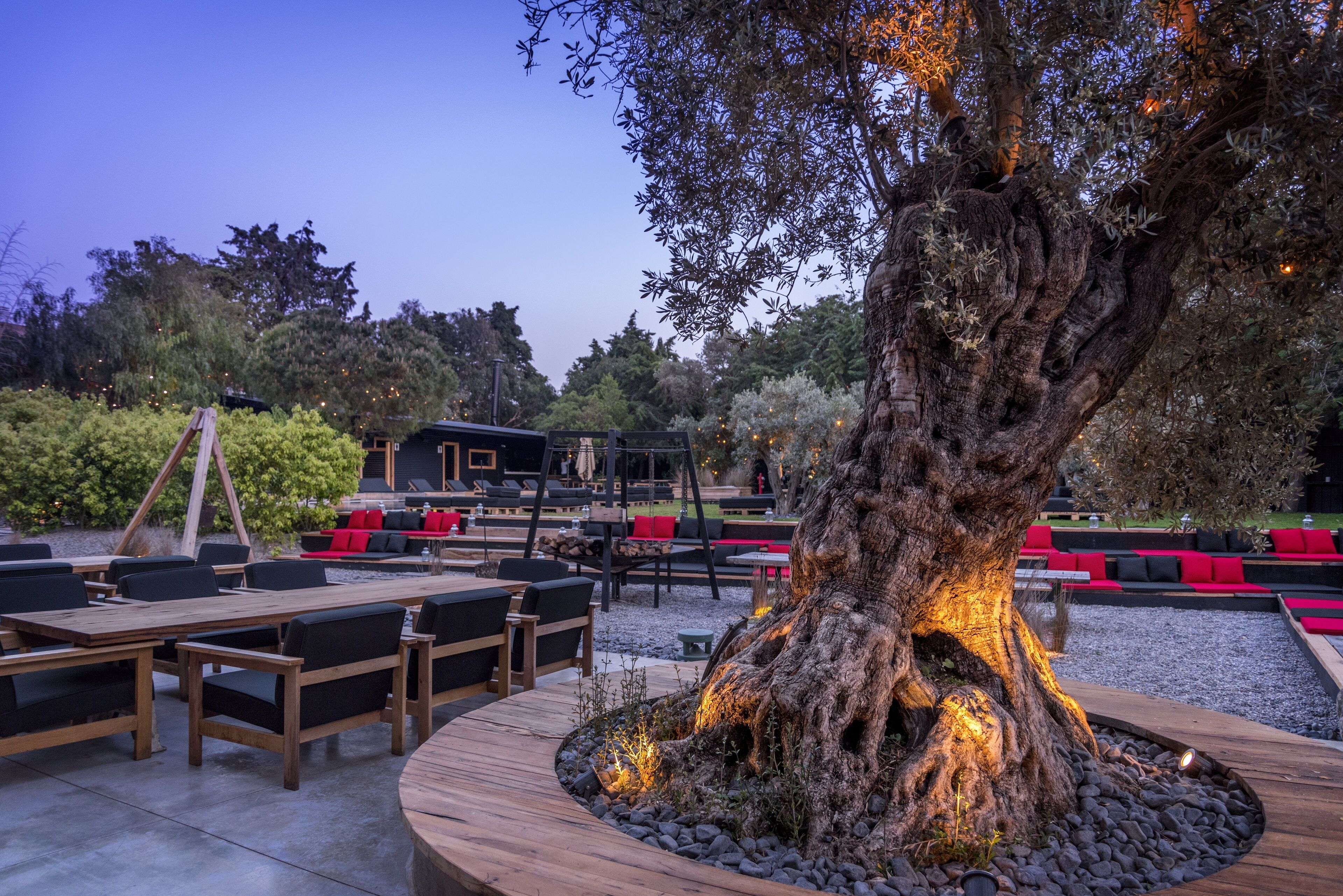 Un espacio al aire libre con mesas y sillas de madera, un gran árbol con raíces iluminadas y un edificio con asientos rojos y negros al fondo.
