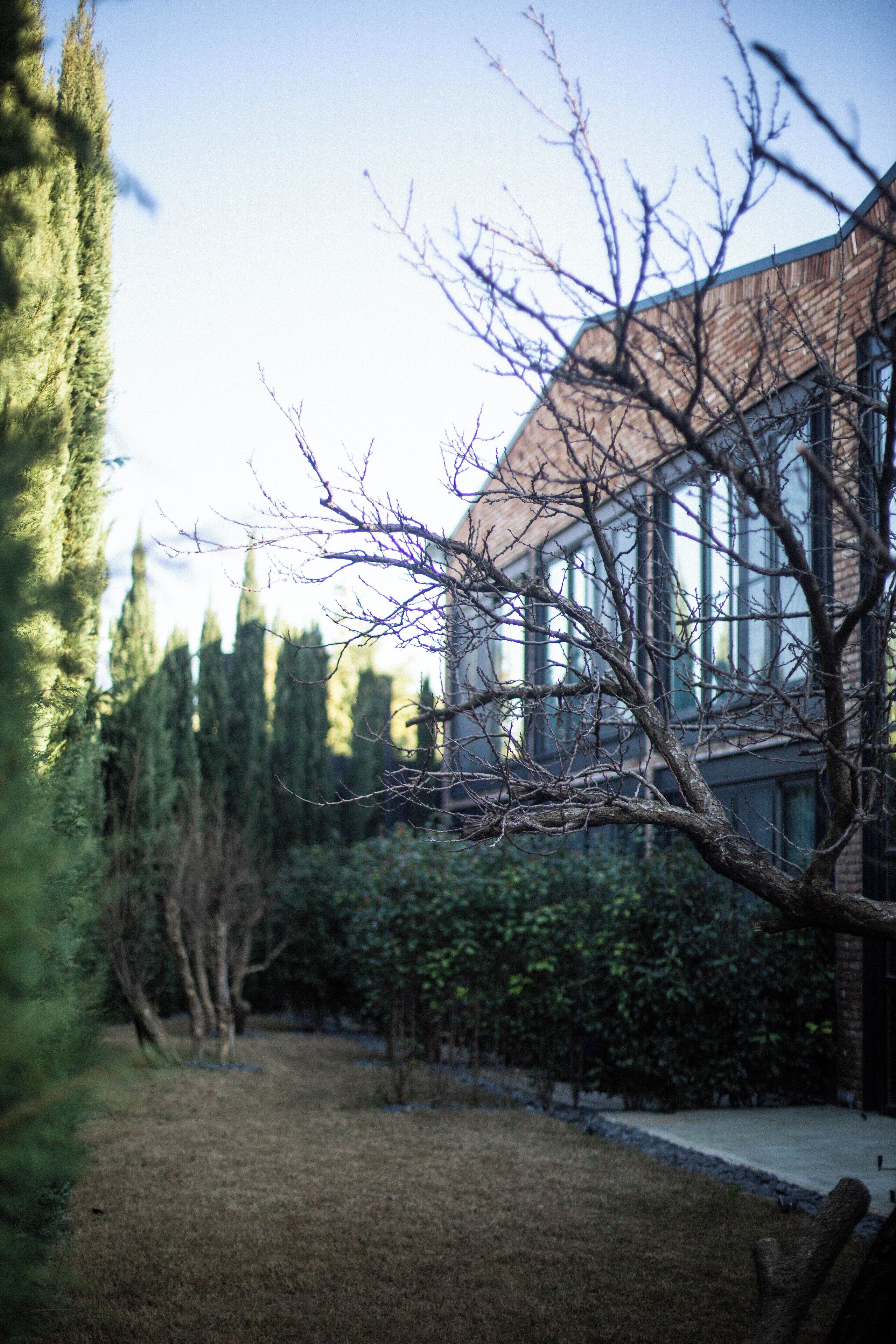 A building with large windows and a brick facade, surrounded by trees and a grassy area.