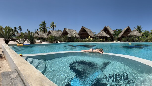 A swimming pool with a person swimming, surrounded by thatched-roof huts and palm trees. - New Jambo Bungalows - Hostel (Paje)