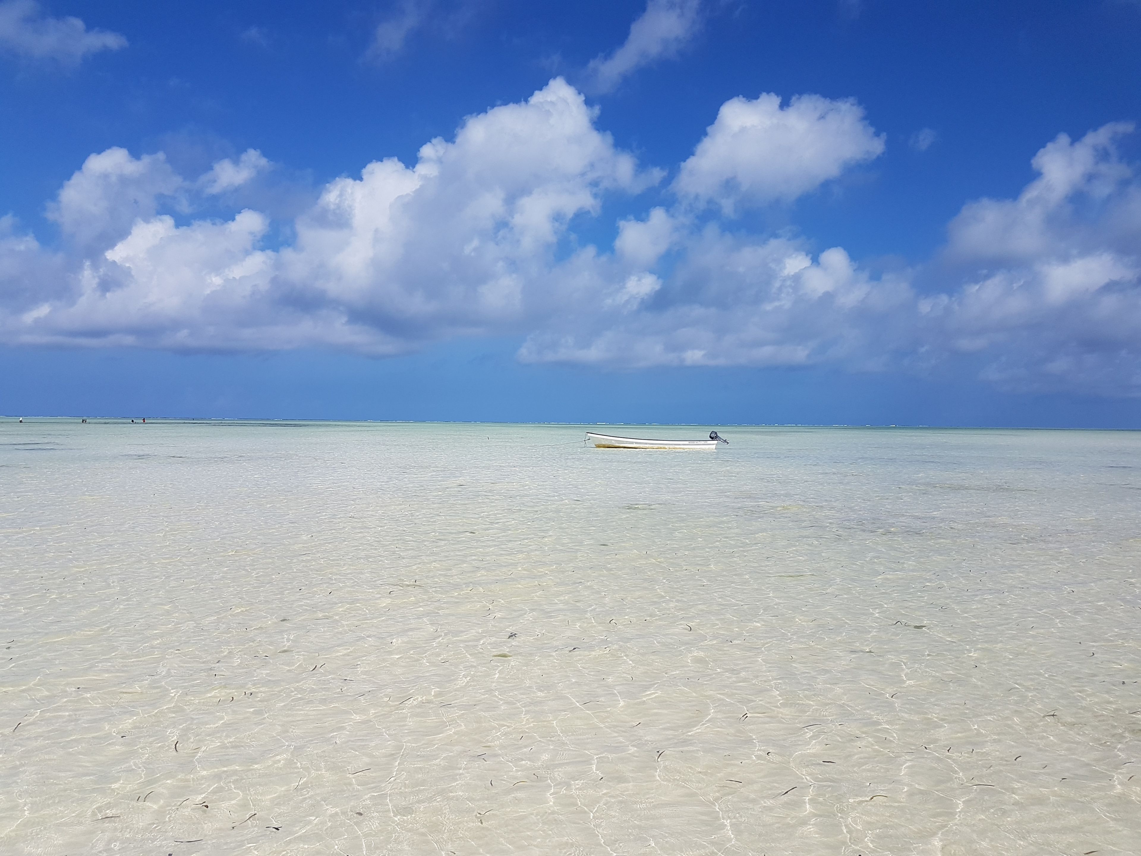 在海滩、白沙、沙滩椅、海滩遮阳伞