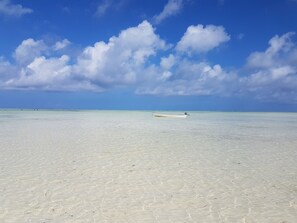 On the beach, white sand, sun loungers, beach umbrellas - New Jambo Bungalows - Hostel (Paje)