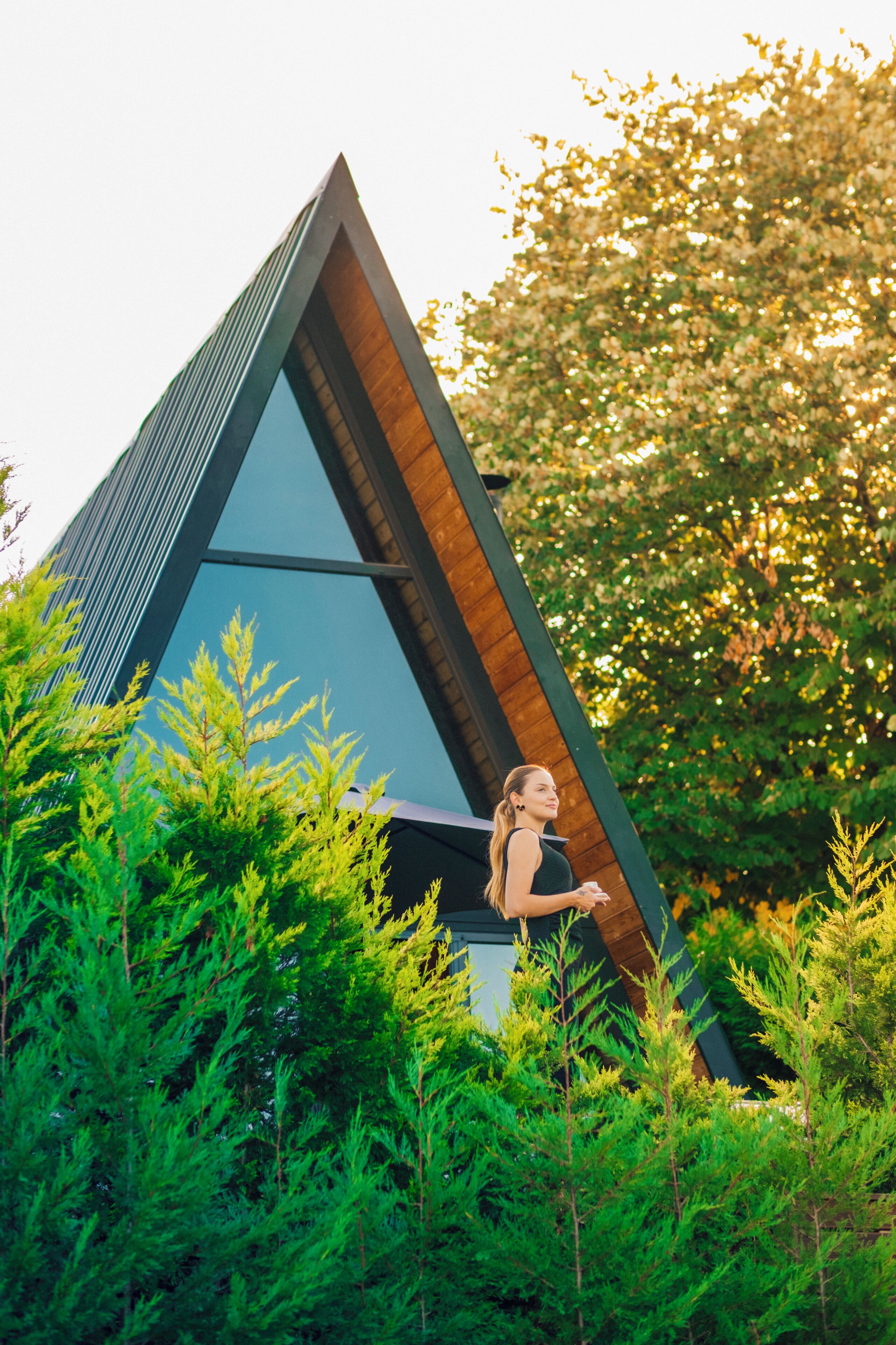 A modern building with a triangular roof, surrounded by lush greenery.