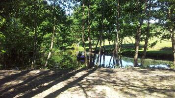 Zona boscosa con un sendero de tierra que lleva a una masa de agua, rodeada de árboles.