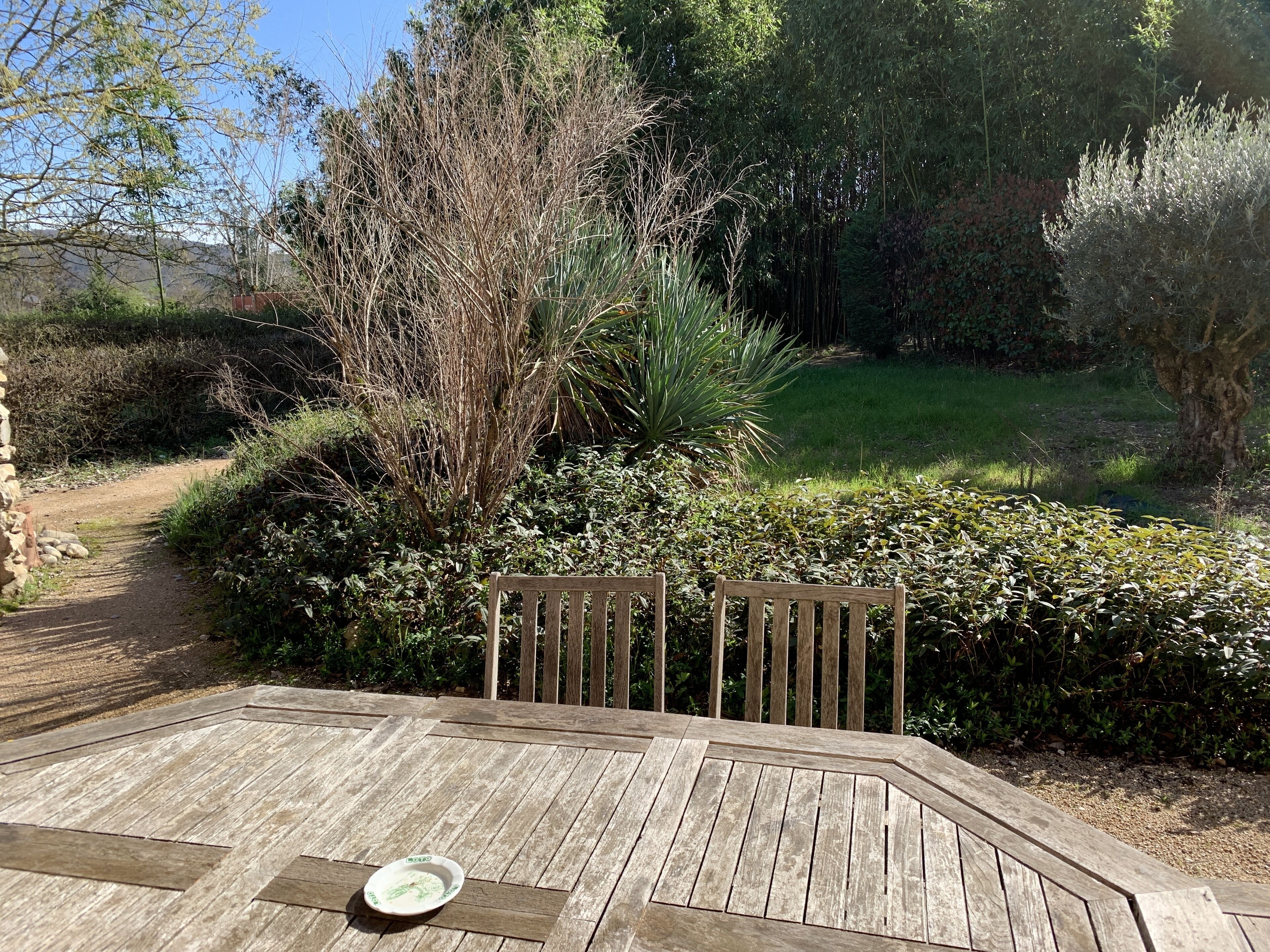 Une terrasse en bois avec deux chaises et une table, entourée d’une végétation dense et d’arbres.