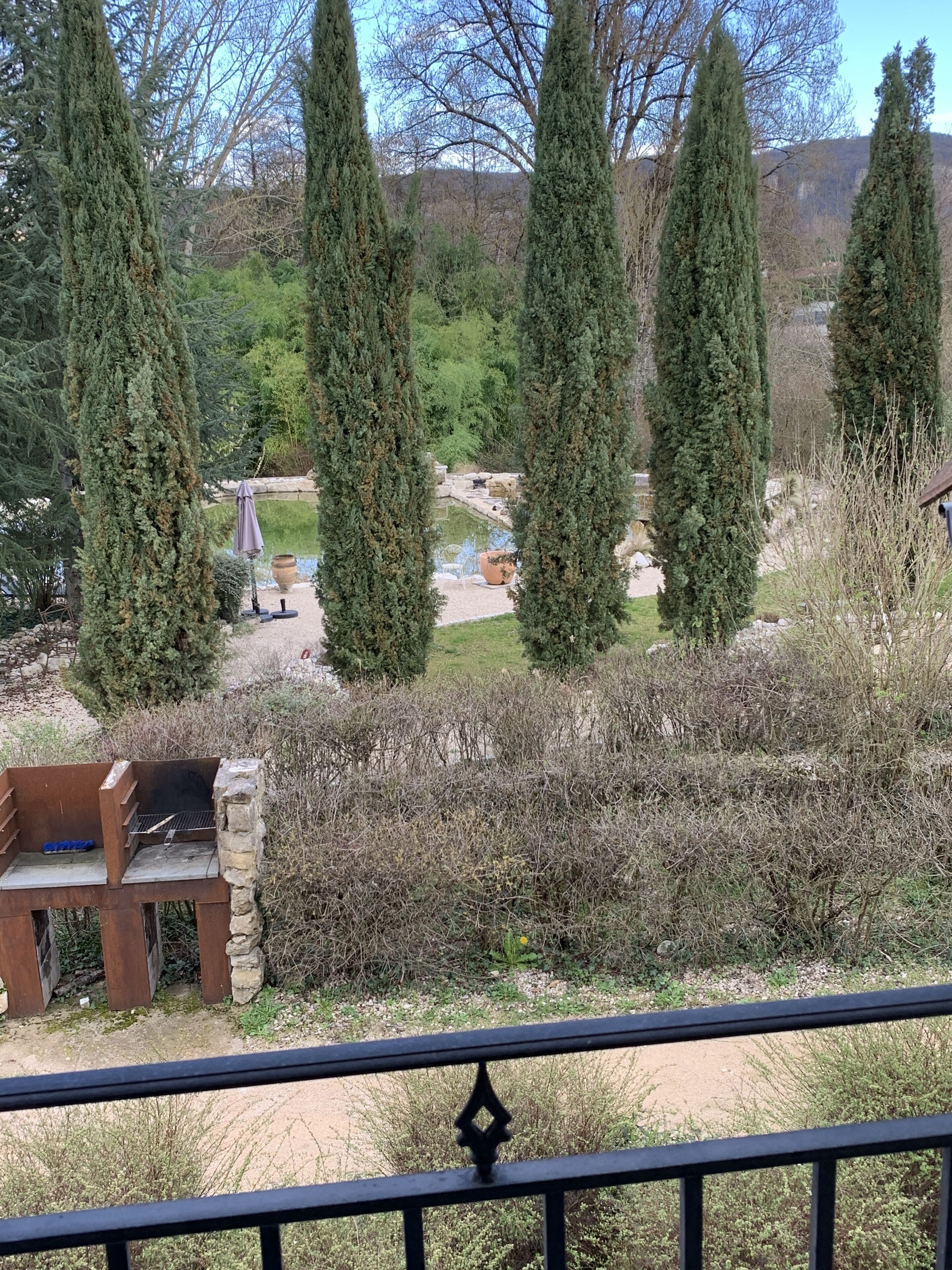 Een uitzicht op een tuin met hoge bomen, een vijver en een houten bankje.