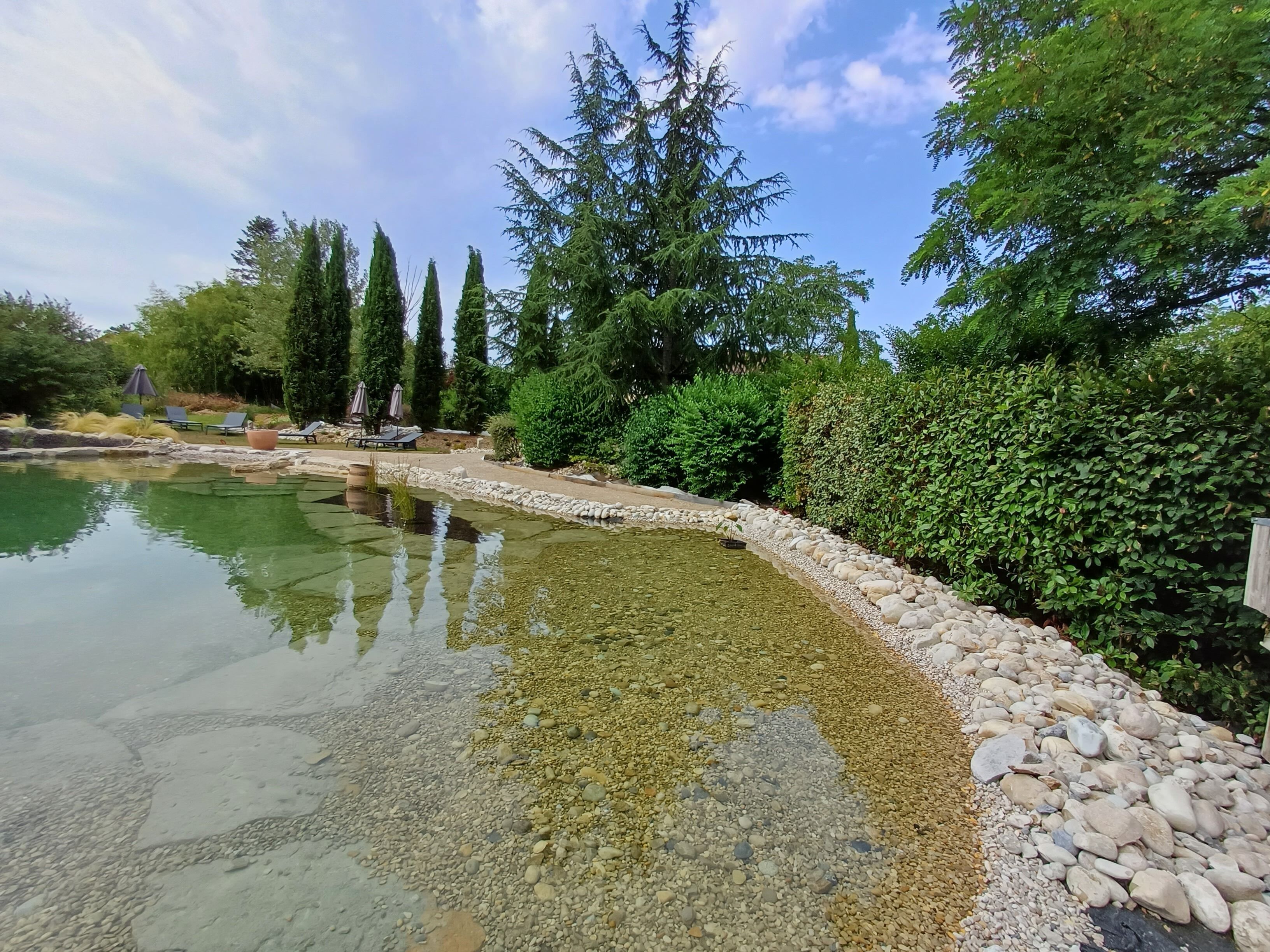 Een zwemvijver en ligstoelen
