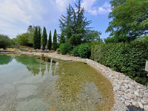 A natural pool, sun loungers - Puravida  Apparts (Lagnieu)
