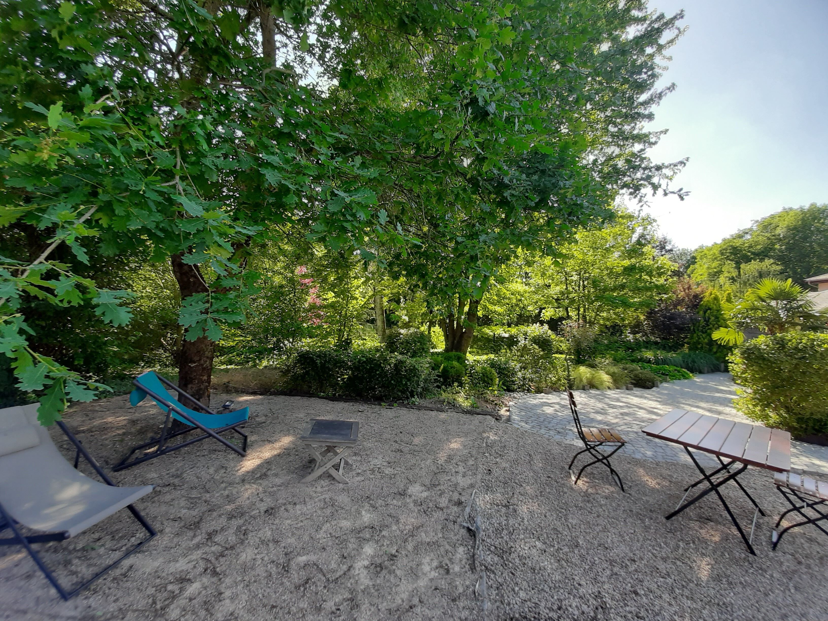 Un espace extérieur aménagé avec une table et des chaises, entouré d’arbres et de verdure.