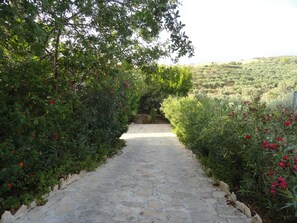 A stone pathway flanked by lush greenery and flowering plants, leading to a distant view of a hilly landscape.
