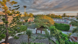 A tropical landscape with a stone-paved area, palm trees, and a large tree with dense foliage. - Hibiscus Villa (Grand-Baie)