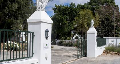 Green Olive Guesthouse