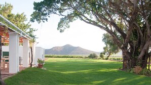 A well-maintained lawn, a white building with a pergola, and a mountain in the background. - Green Olive Guesthouse (Robertson)
