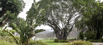 Green Olive Guesthouse