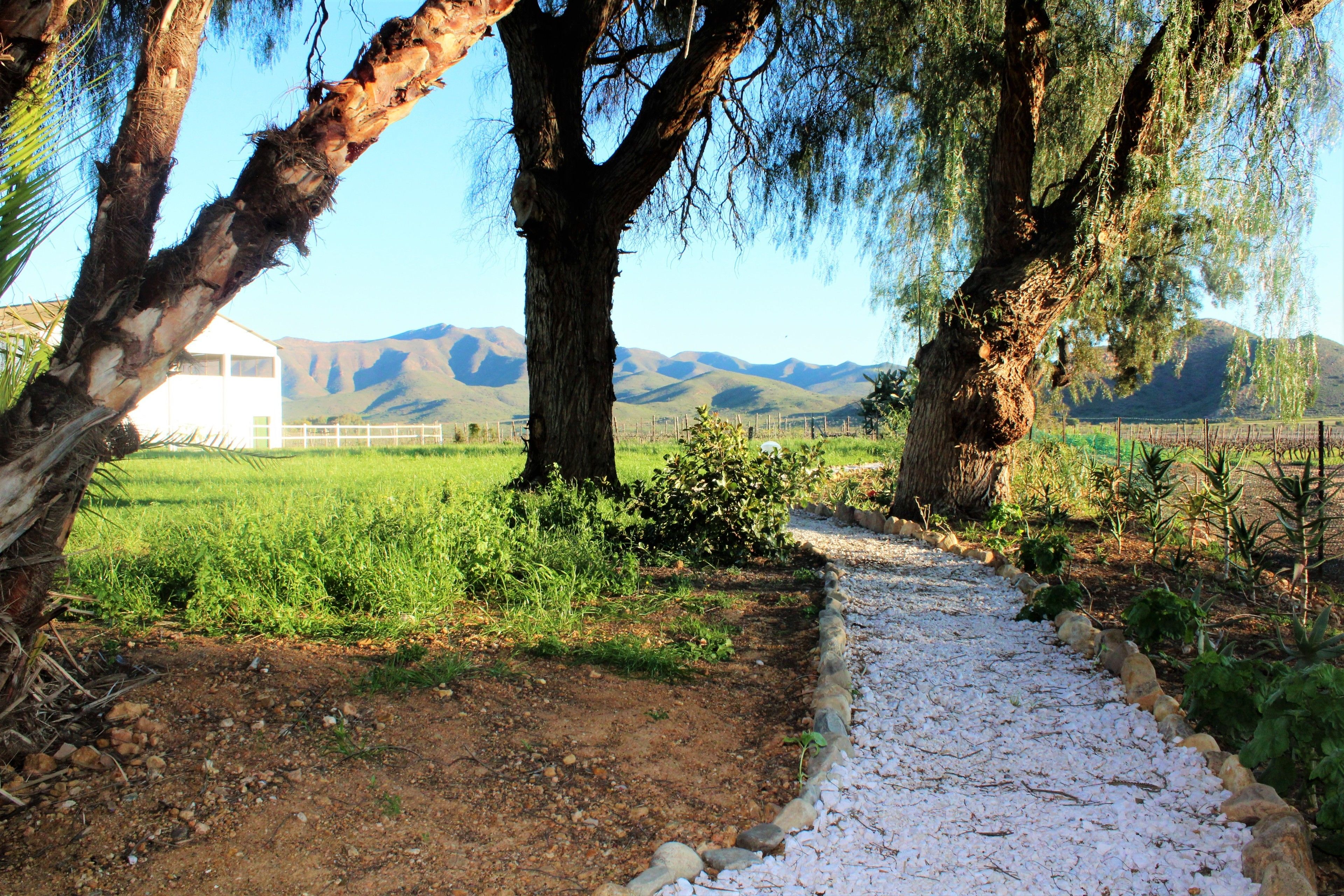 A rural landscape with a dirt path leading to a white building, surrounded by trees and mountains in the background.