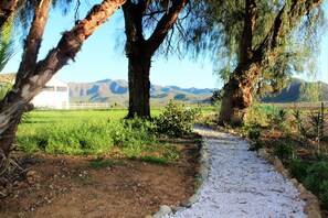 Property amenity - Green Olive Guesthouse (Robertson)