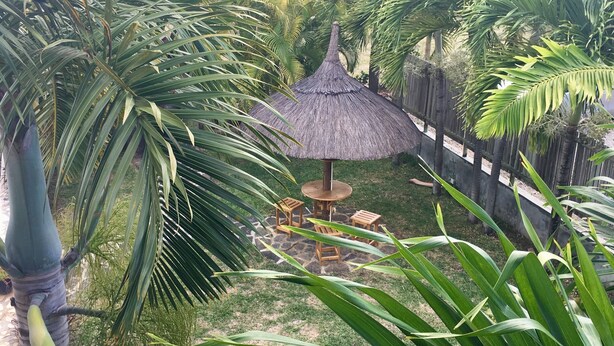 Um jardim tropical com um gazebo de colmo, palmeiras e um espaço com piso de pedra.