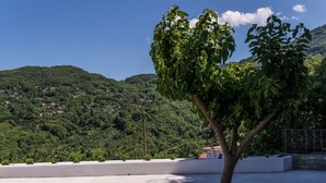 Terraza en la azotea con un árbol, una pared blanca y vistas a una ladera verde con casas.