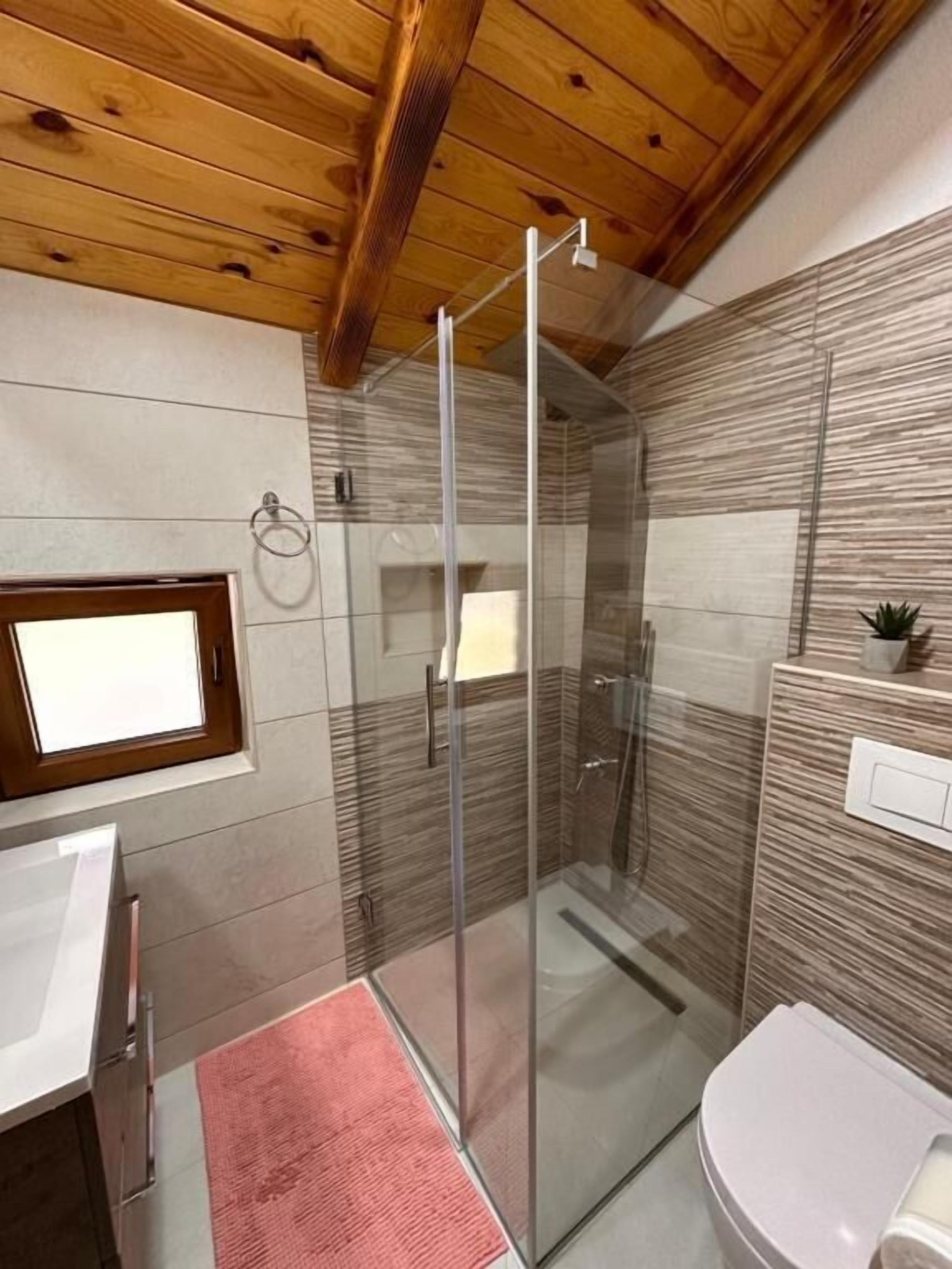 A modern bathroom with a glass shower enclosure, a white sink, and a toilet.