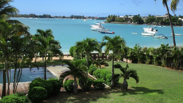 A marina with boats, palm trees, and a clear blue sky.