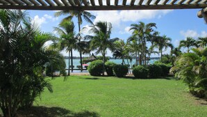 A tropical garden with a wooden pergola, palm trees, and a view of the sea.