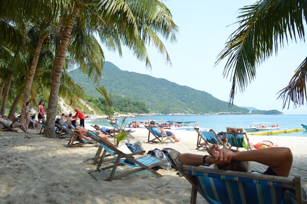 Exterior - Luu Ly Homestay Hoi An (Da Nang)