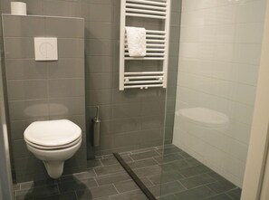 Shower, free toiletries, hair dryer, towels