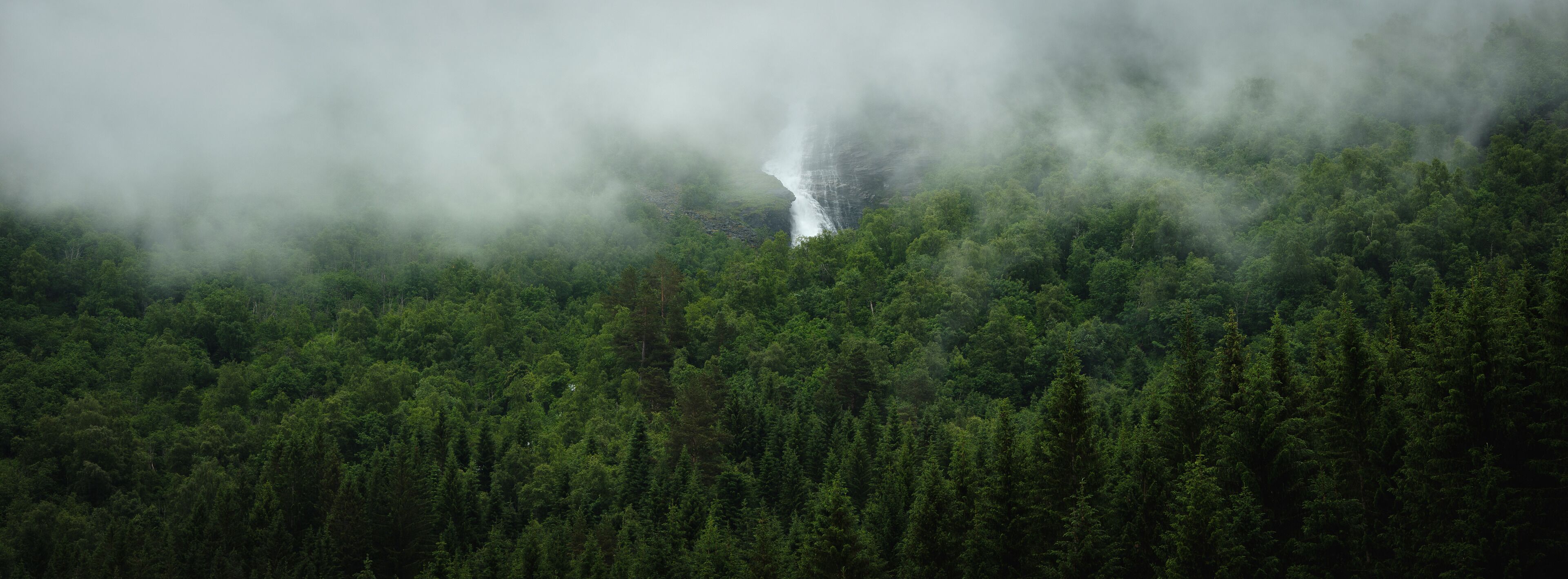 Une forêt dense où une cascade est partiellement dissimulée par la brume.
