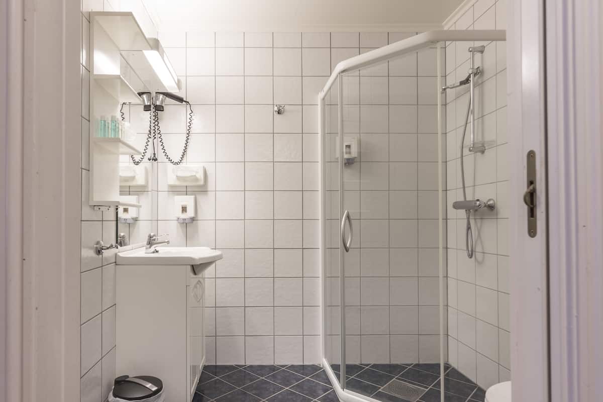 shower, free toiletries, hair dryer, towels