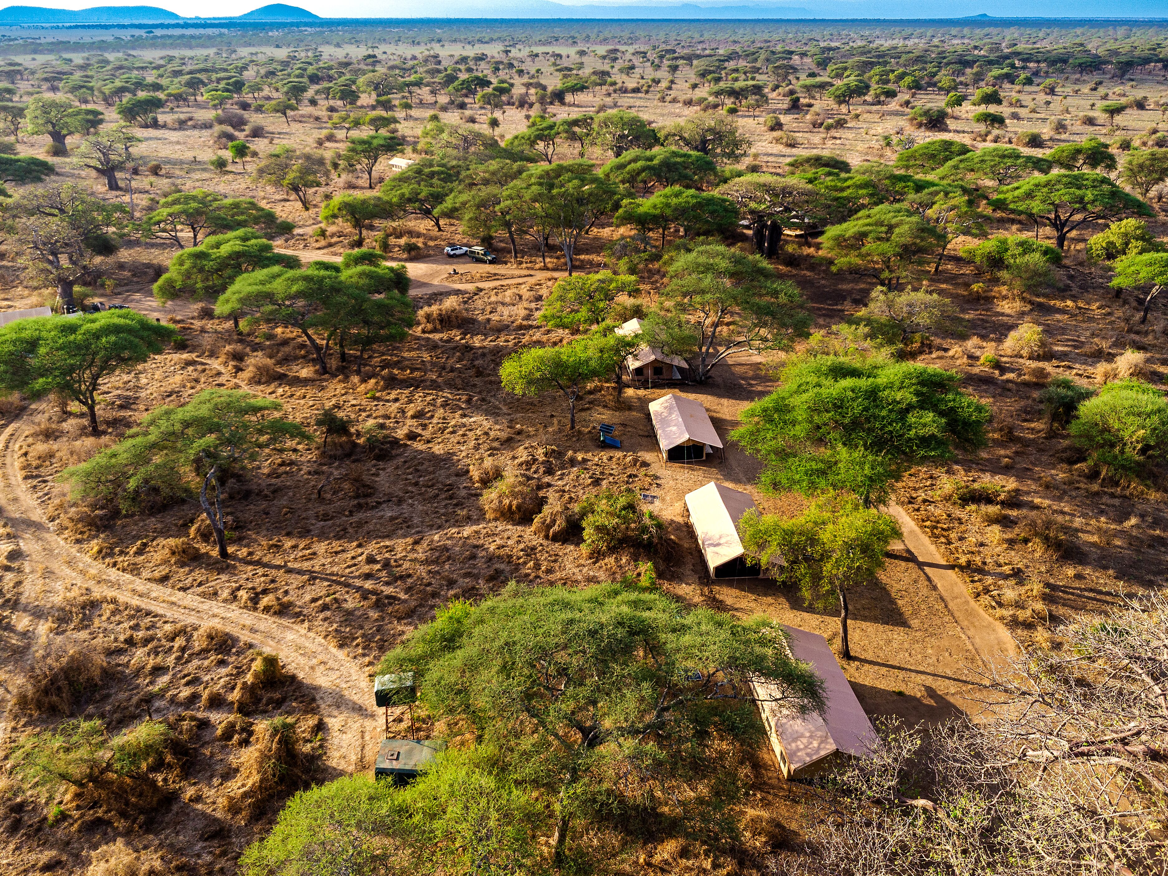 An aerial view of a safari camp with tents and a jeep on a dirt road.
