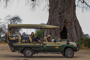 Safari
