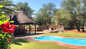 A pool area with a thatched-roof structure, surrounded by trees and a well-maintained lawn. - Zingela Nature Reserve - Doornstock Lodge (Blouberg)
