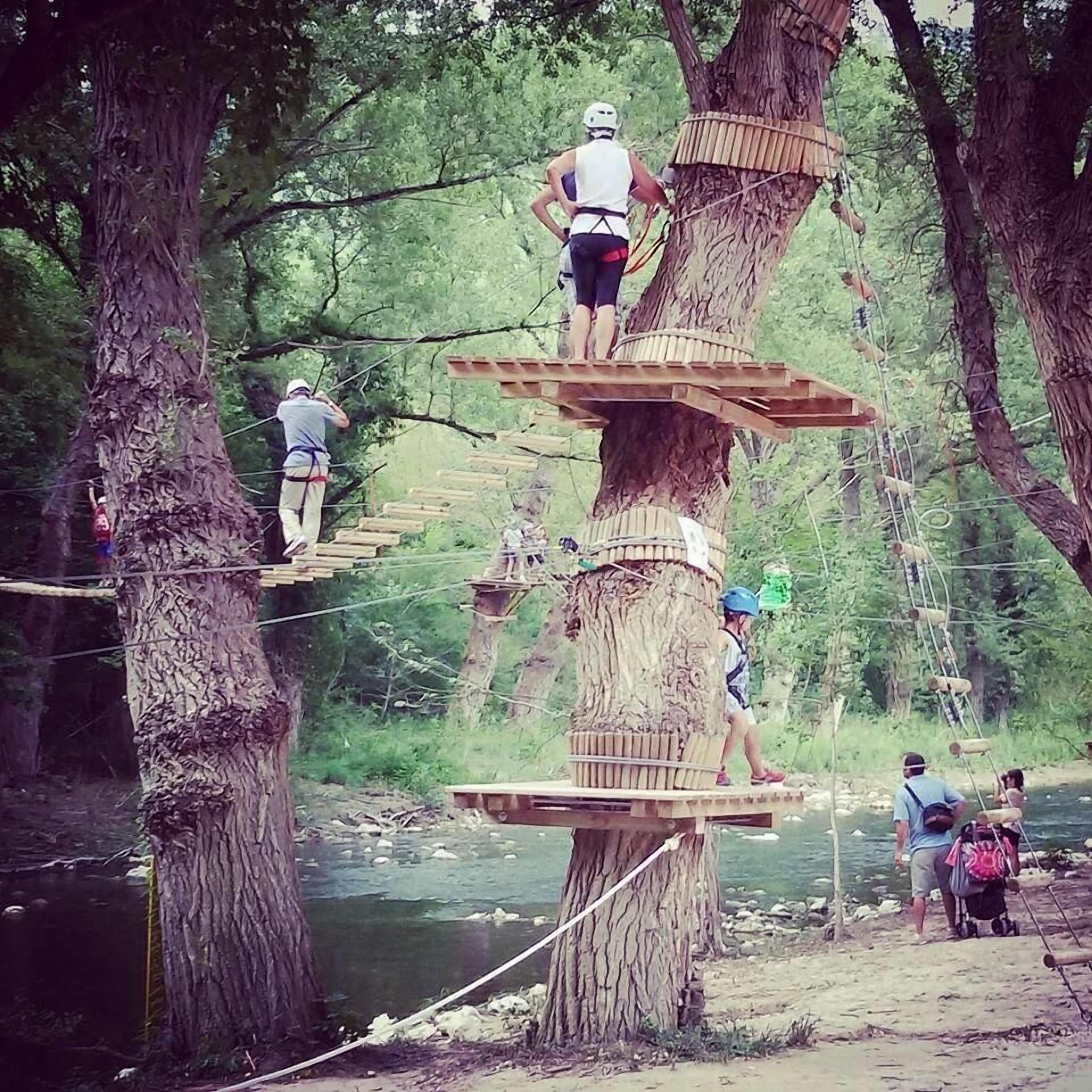 A tree-based obstacle course with participants.