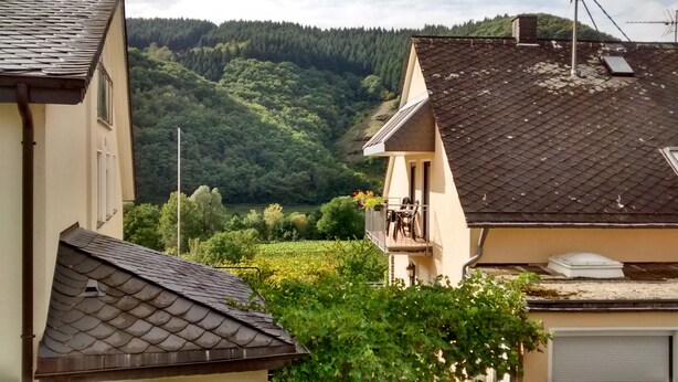A residential building with a balcony, a sloped roof, and a view of a forested hillside. - Weingut Sauer-Kettermann (Enkirch)